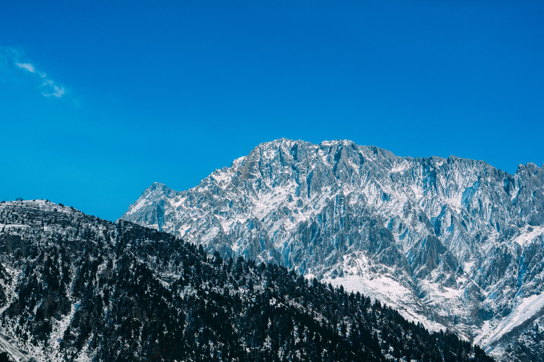 Hikers Rescued After Using Google Gemini for Trip Planning